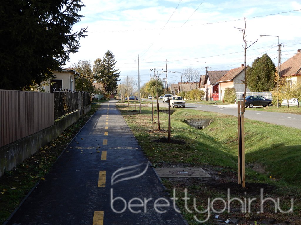 Közösségi faültetés Berettyóújfaluban 95